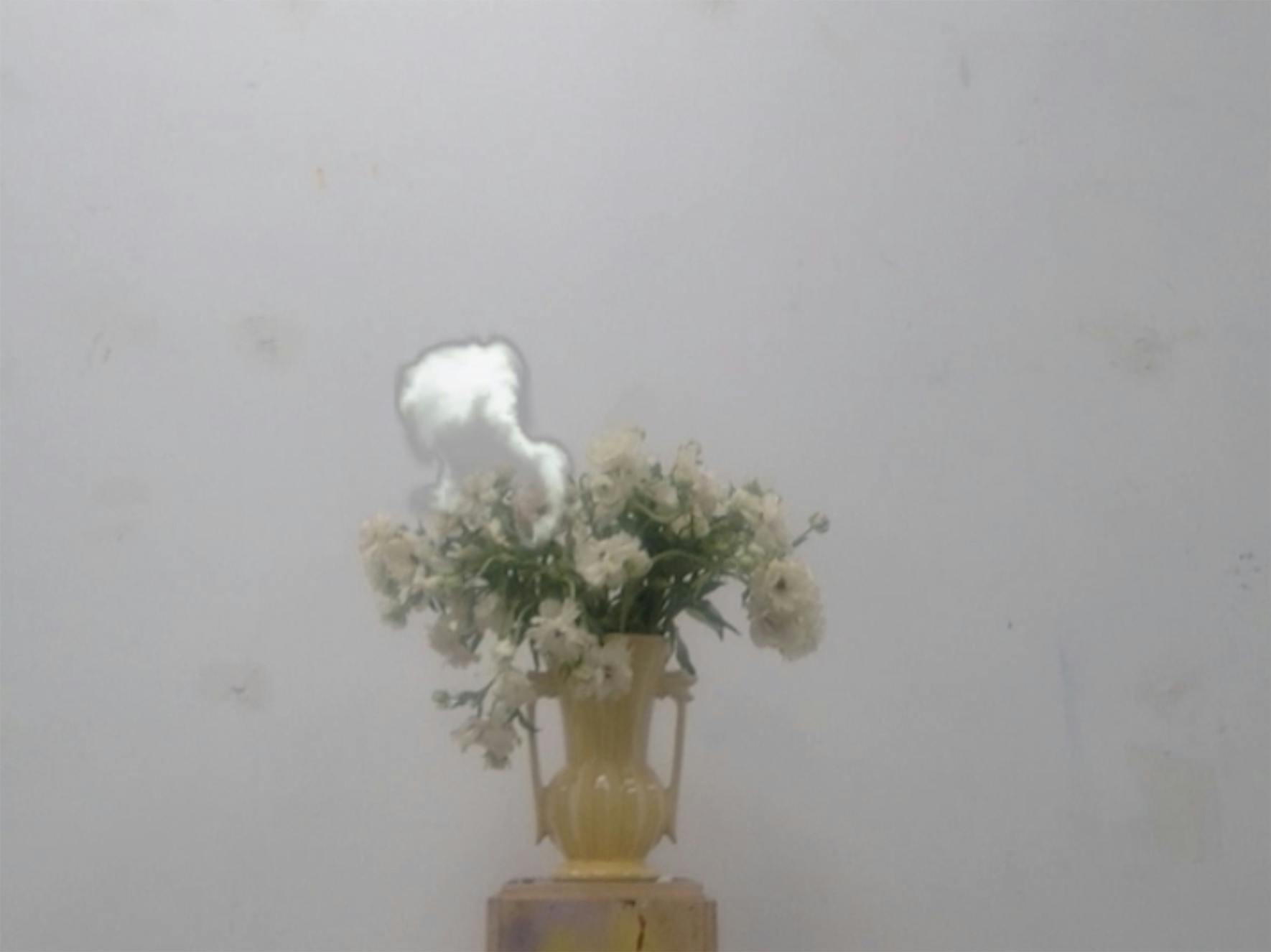 Petra Cortright, smoking-vase-1